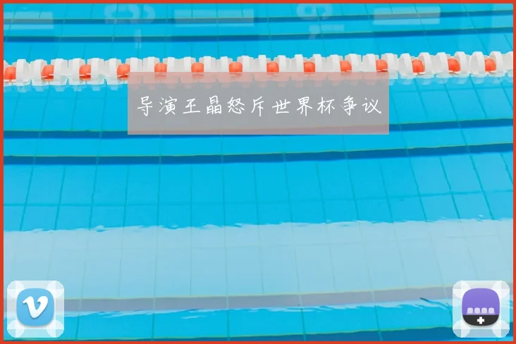 导演王晶怒斥世界杯争议