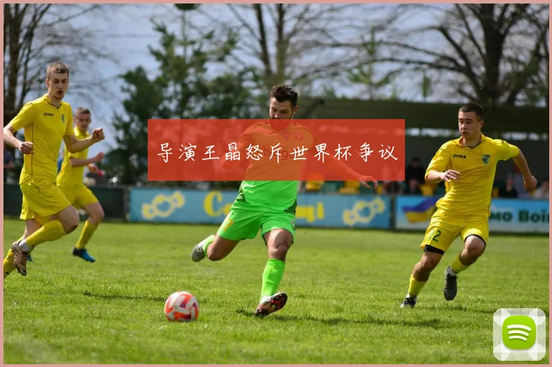 导演王晶怒斥世界杯争议