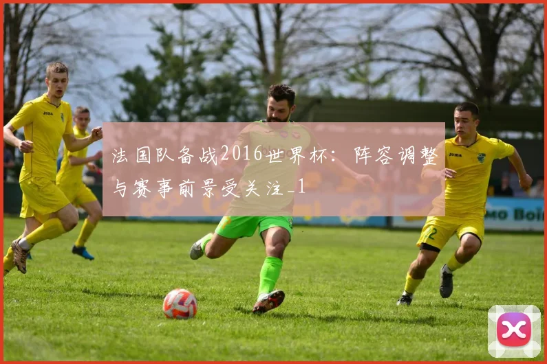 法国队备战2016世界杯：阵容调整与赛事前景受关注_1