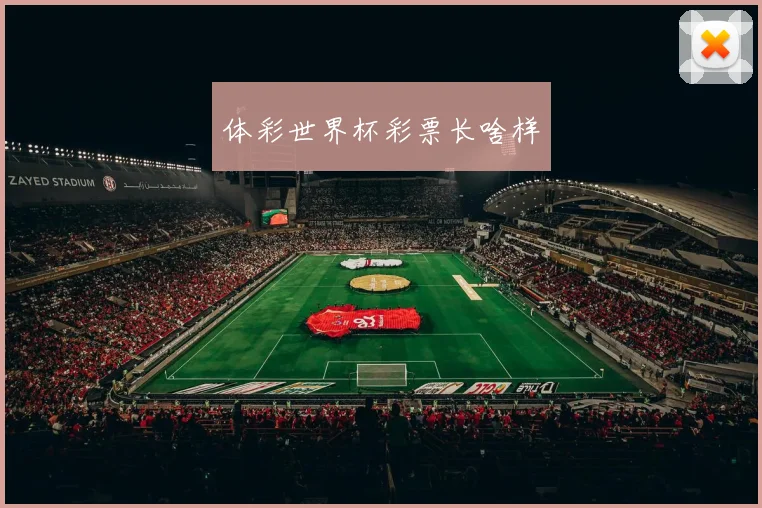 体彩世界杯彩票长啥样