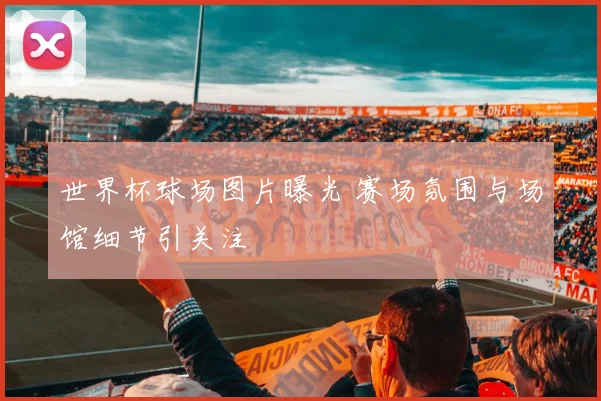 世界杯球场图片曝光 赛场氛围与场馆细节引关注