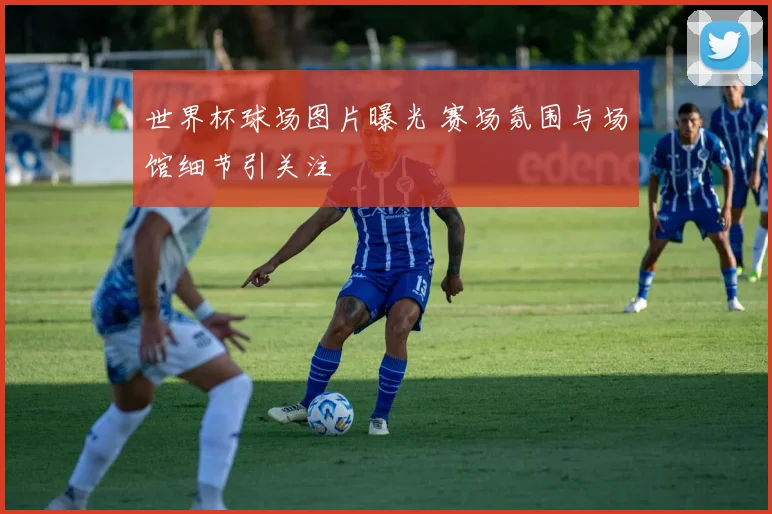 世界杯球场图片曝光 赛场氛围与场馆细节引关注