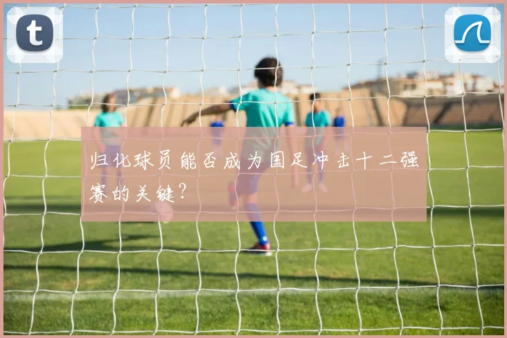 归化球员能否成为国足冲击十二强赛的关键？